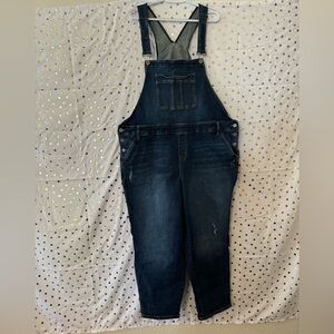 Torrid overalls